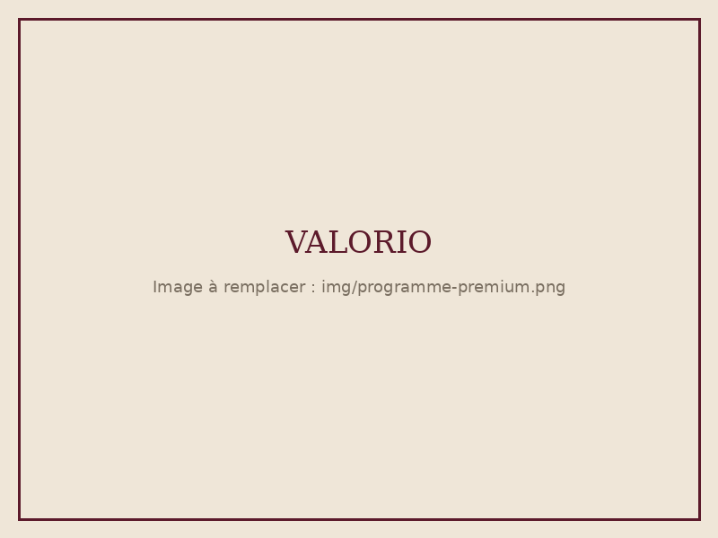Rapport d'inspection préventive du programme premium Valorio