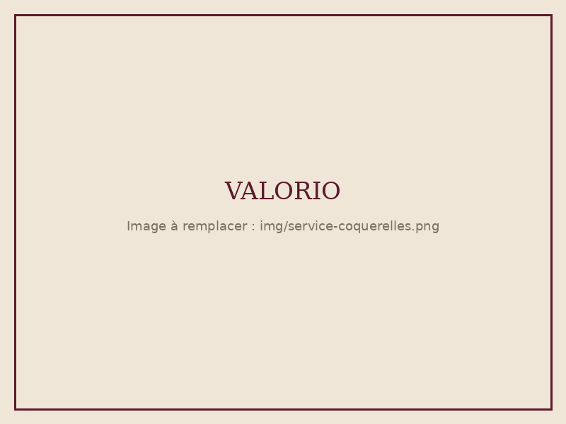 Intervention Valorio : coquerelles