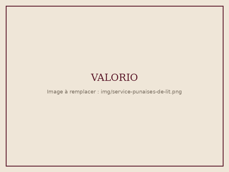Intervention Valorio : punaises de lit
