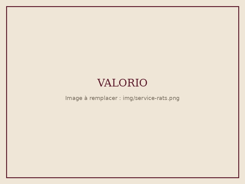 Intervention Valorio : rats