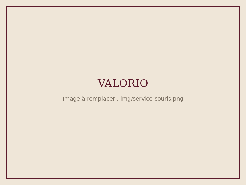 Intervention Valorio : souris